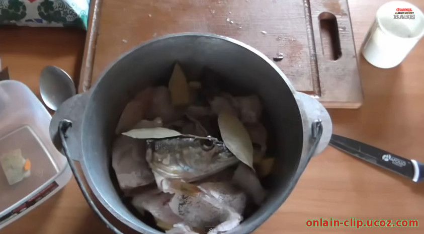 Уха из щуки